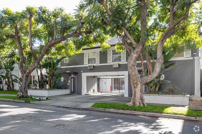 Photo - Hollywood Off-Vine