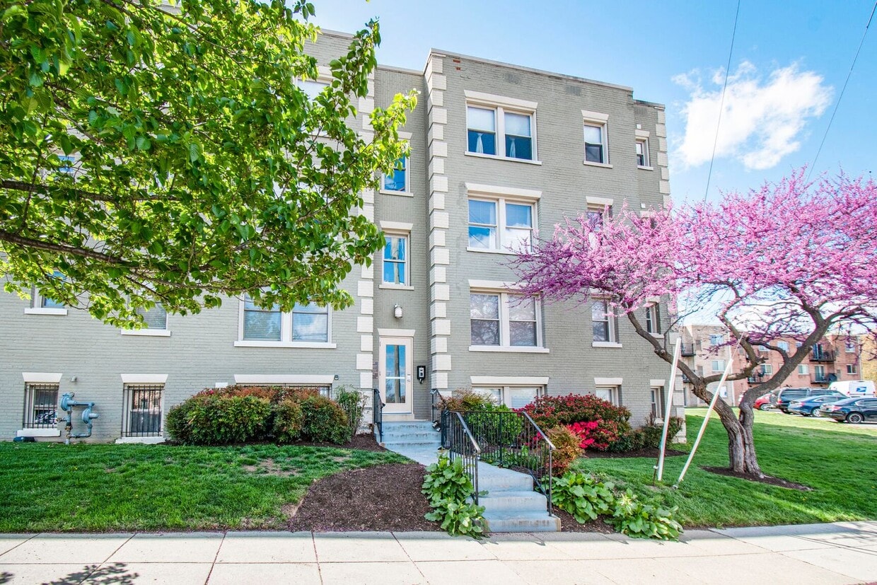 Available Now! 1 Bed 1 Bath in Brookland, ... - Available Now! 1 Bed 1 Bath in Brookland, ...