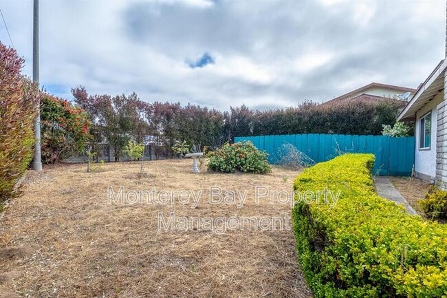 Photo - 1137 Mescal St