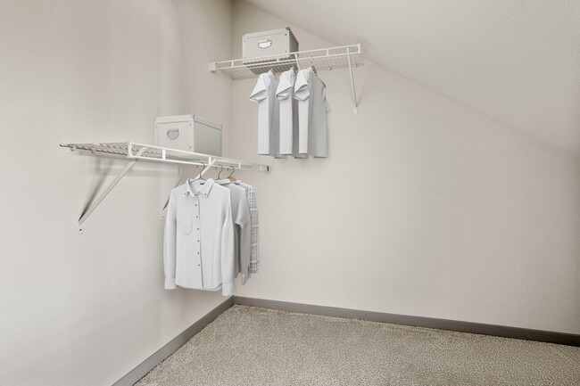 Avenues at Cypress - Walk-in Closet