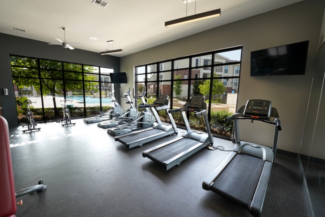 Photo - Falcon at Grand Harbor