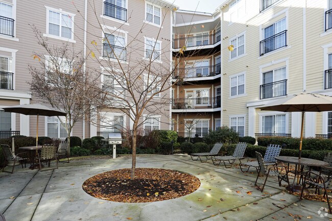 Alexander at Ghent Apartments For Rent in Norfolk, VA