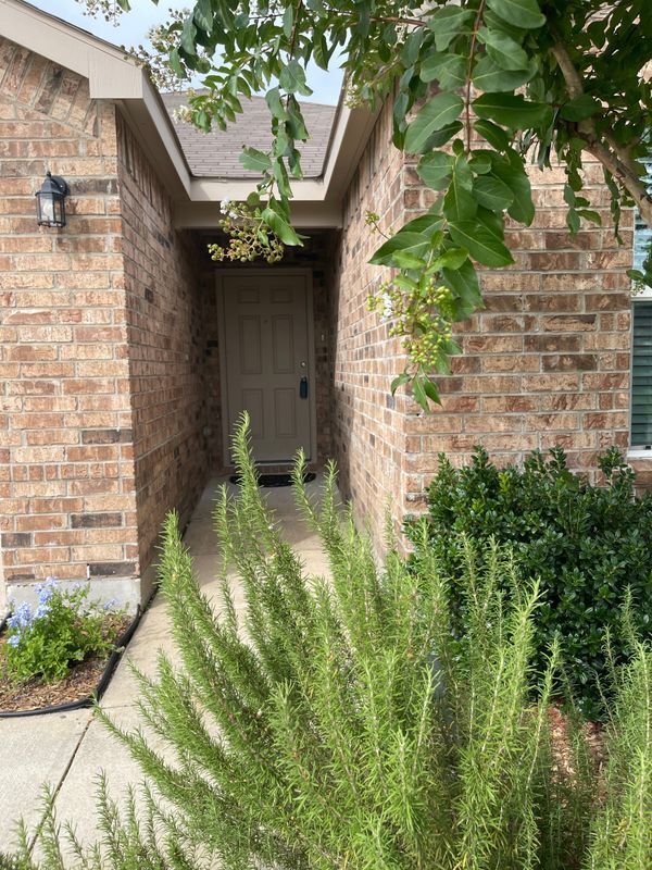 Photo - 138 Waxberry Dr