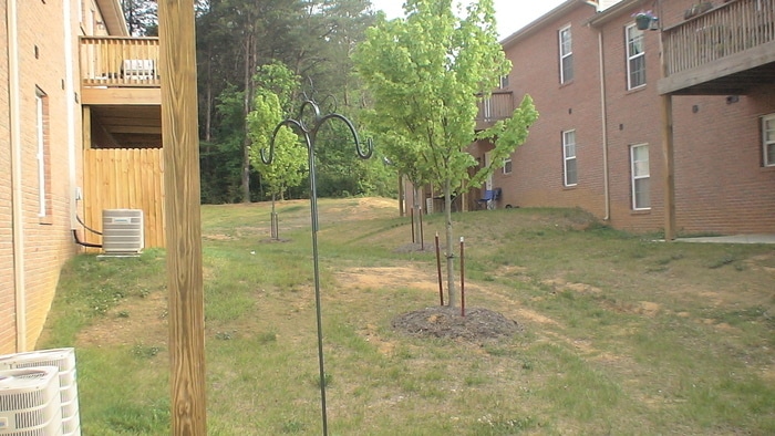 Photo - Very Nice Condo in North Knoxville