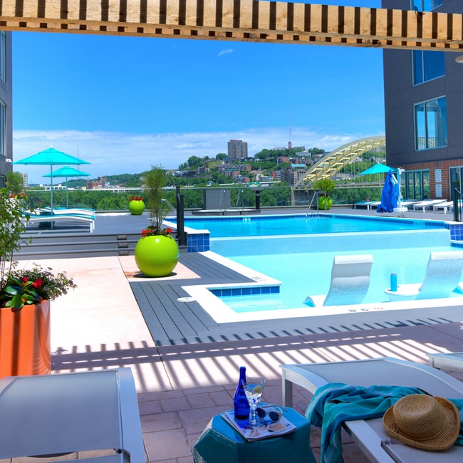 Photo - Aqua on the Levee