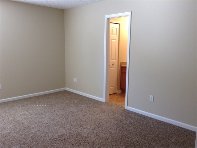 Photo - 2926 Limber Pine Dr