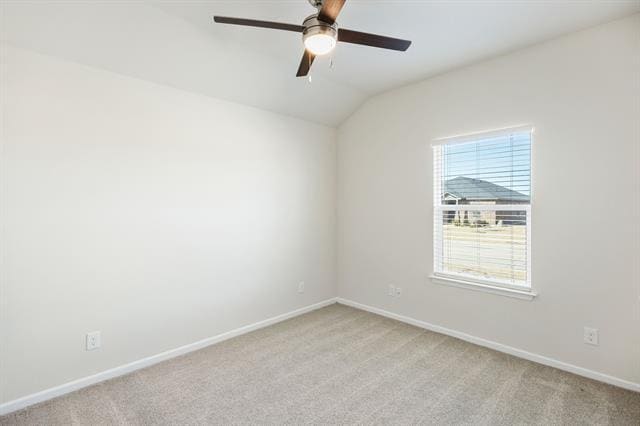 Photo - 1803 Boxwood Dr