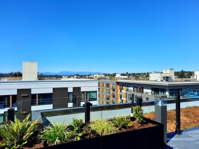 Photo - Vitality on 17th