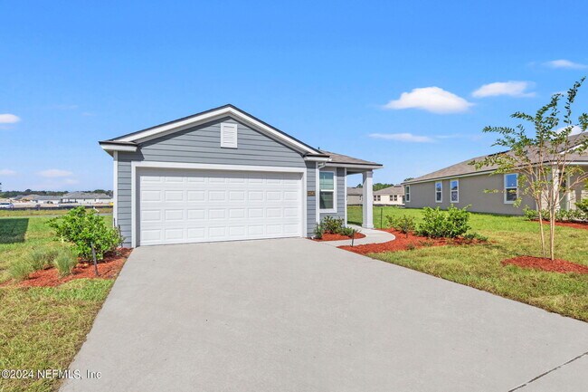 Photo - 12567 Rubber Fig Ter