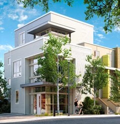 The Avenue - Meadow Walk II