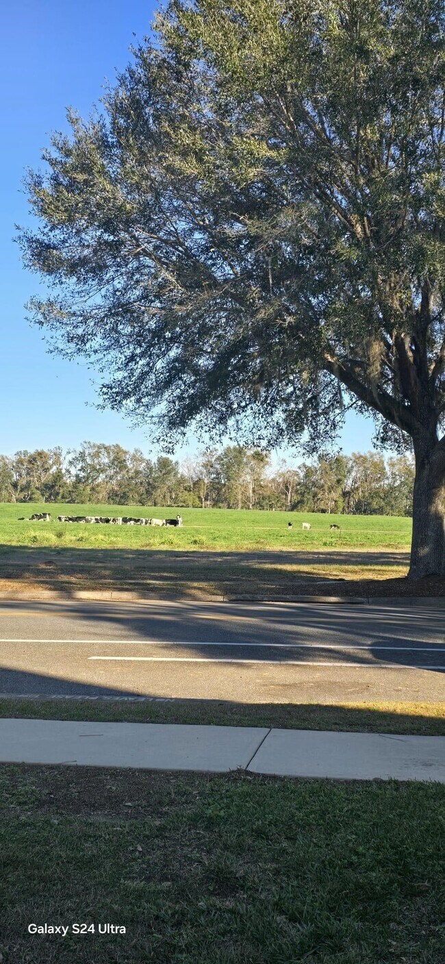 Photo - 3674 Biltmore Ave