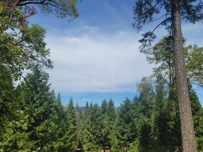 Photo - 10712 Banner Lava Cap Rd