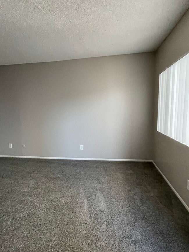 Photo - DOTY (Ocean Breeze)