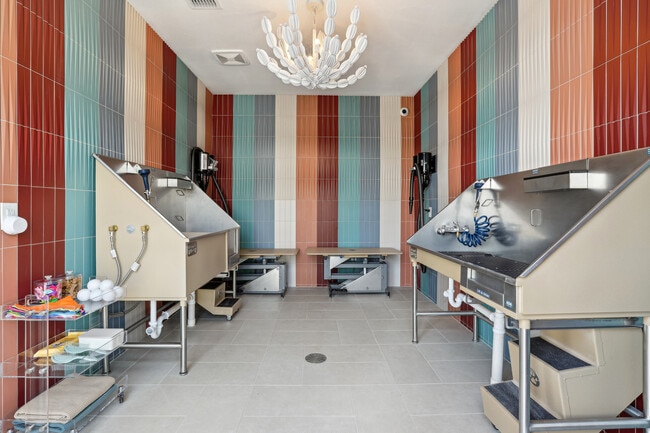 Pet Wash