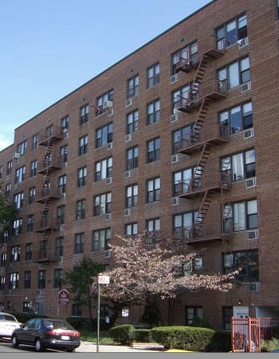 Fiesta Apartments - Fiesta Apartments