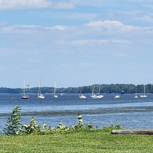 The Delaware River