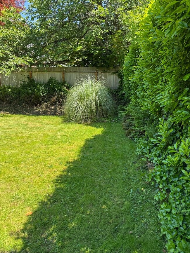 Photo - Beautifully Renovated Reed Neighborhood Craftsman | Huge Backyard | Available Mid-August