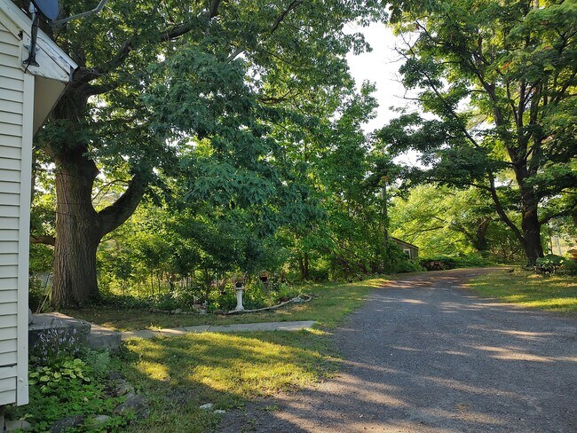 Vista de la carretera desde la entrada. - 1314 Blakeley Rd