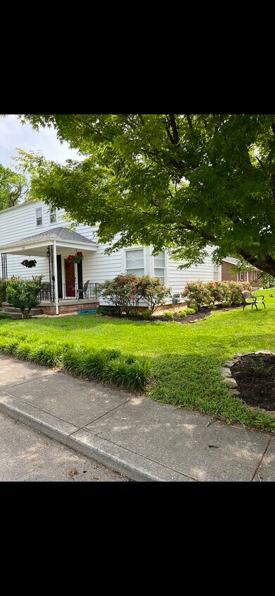 Front yard - 703 Clark St (Maryville, TN)