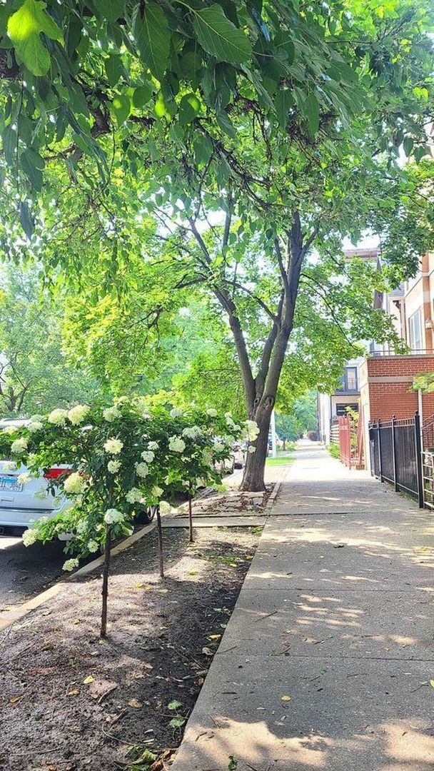 Photo - 2024 N Wolcott Ave