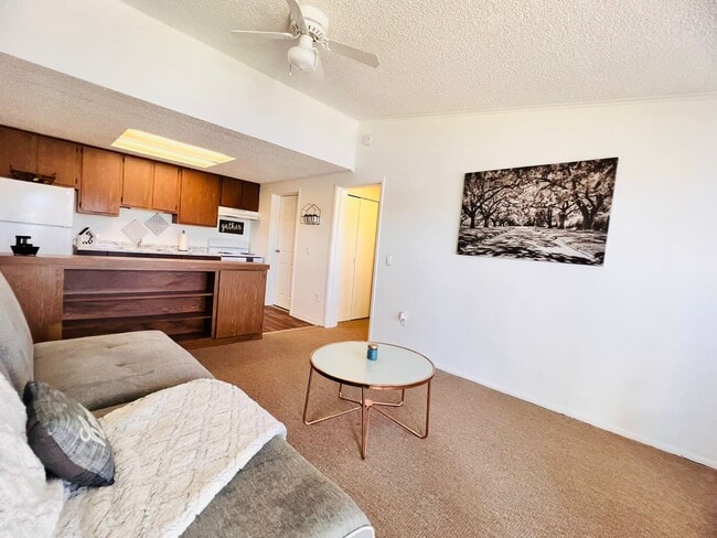 Living Room Area