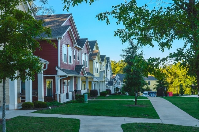 Photo - Student | Ikon Athens