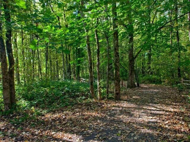 Photo - Fairview Oaks Woods