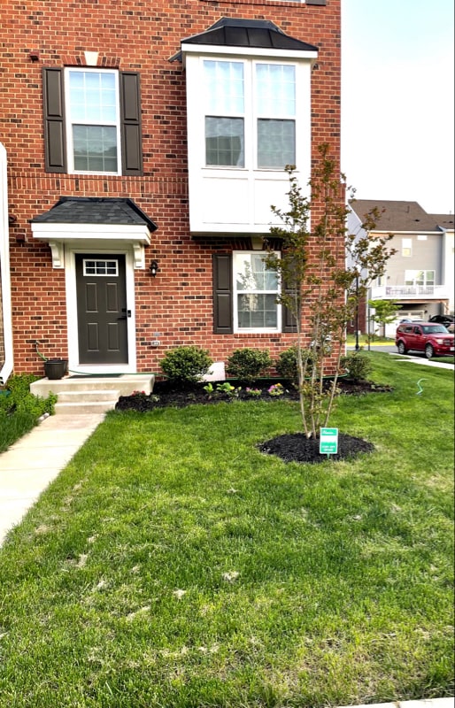 Photo - 11407 Willow Green Cir