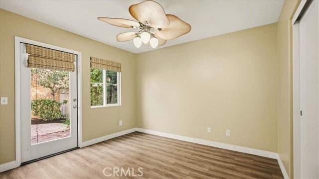 Photo - 8 Madagascar