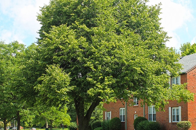 SnyderPark Village Apartments