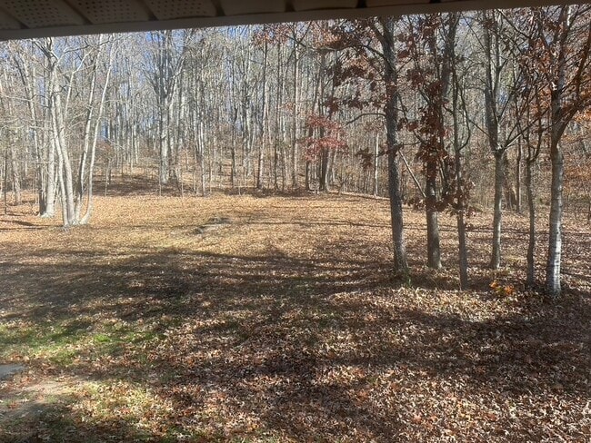 Photo - 5120 Candies Creek Ridge Rd