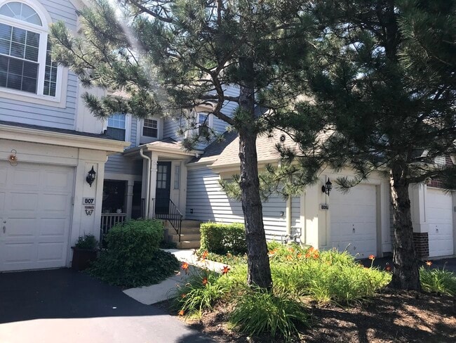 Photo - 809 Spring Creek Ct Condo Unit A