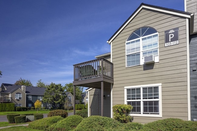 Village at Cascade Park apartments — community photo