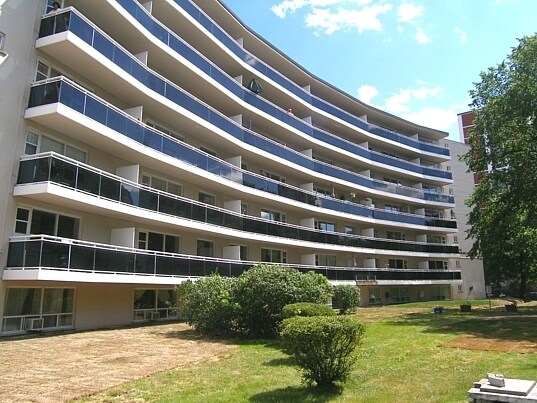 Photo - The Highlander