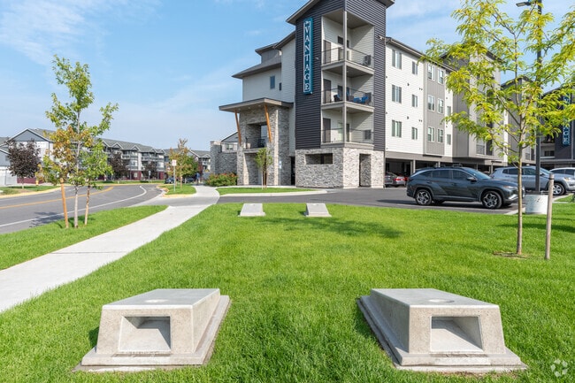 Corn Hole