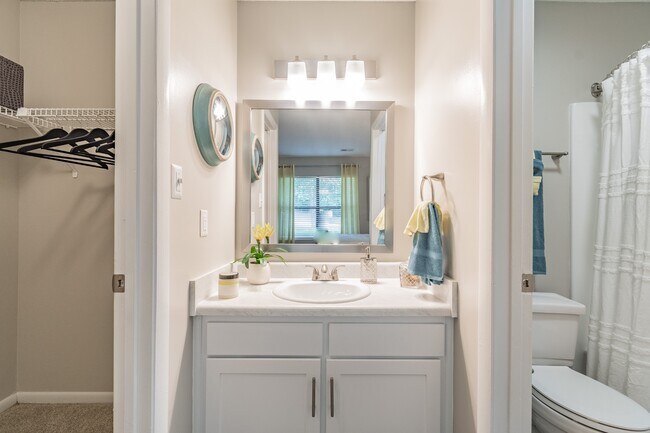 Photo - Ascent Pineville