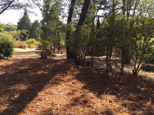 Photo - Country living