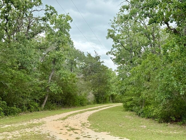 Photo - 6811 Mockingbird Rd