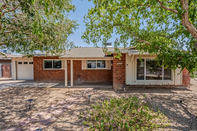 Three bedrooms and POOL in South Scottsdale! - Three bedrooms and POOL in South Scottsdale! House