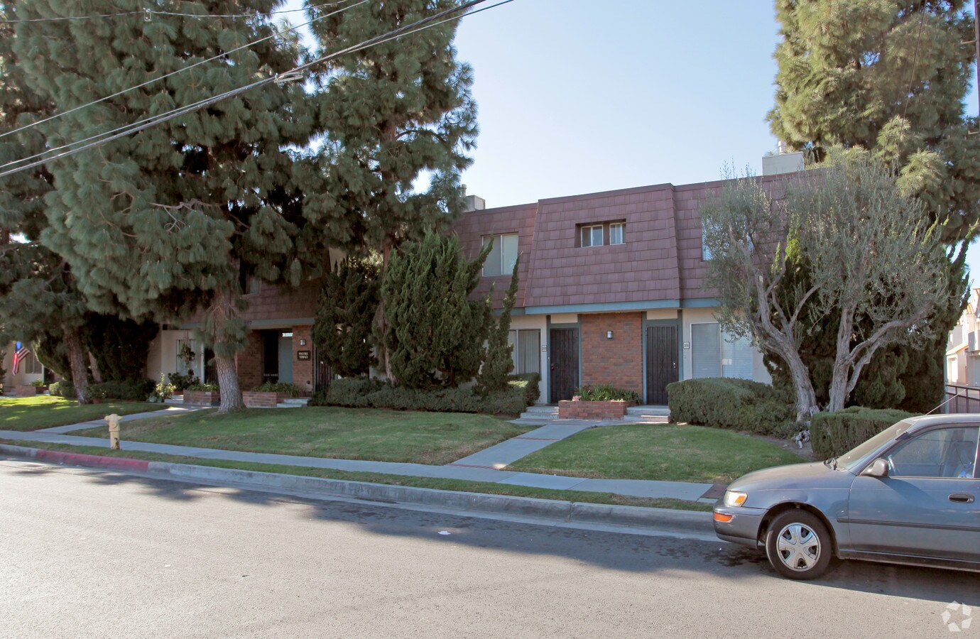 Photo - Pine Tree Terrace - Condominiums