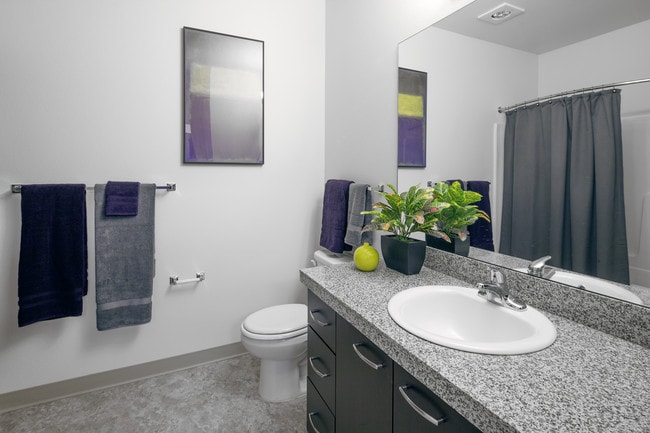 Luxury Bathrooms