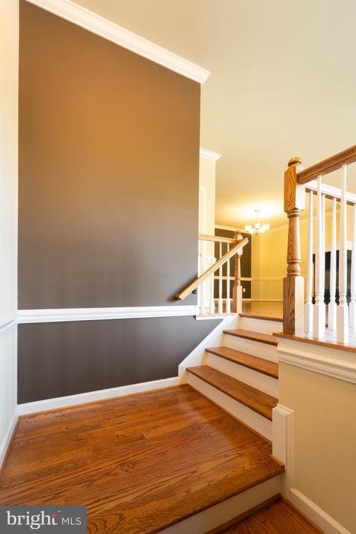 Photo - 14564 Riverwind Terrace