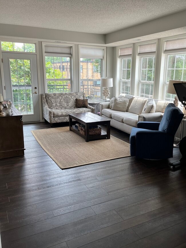 Living Room - 605 Snelling Ave S Condo Unit 209