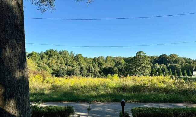 Photo - Complete New Central Hvac in this 2 Bed/1 ...