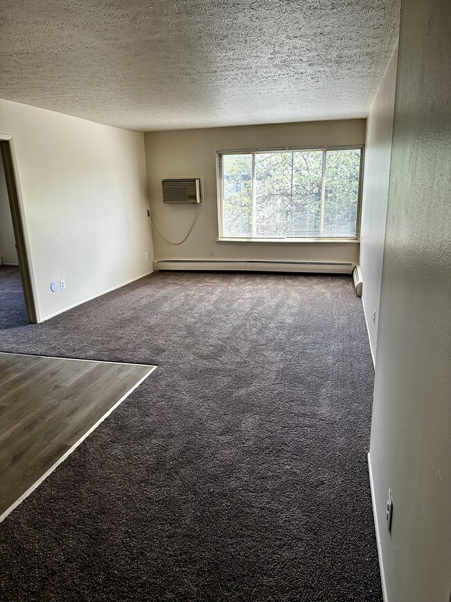 Belmont Manor Apts