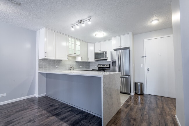 Building Photo - 801 S Plymouth Ct Unit 417 Rental