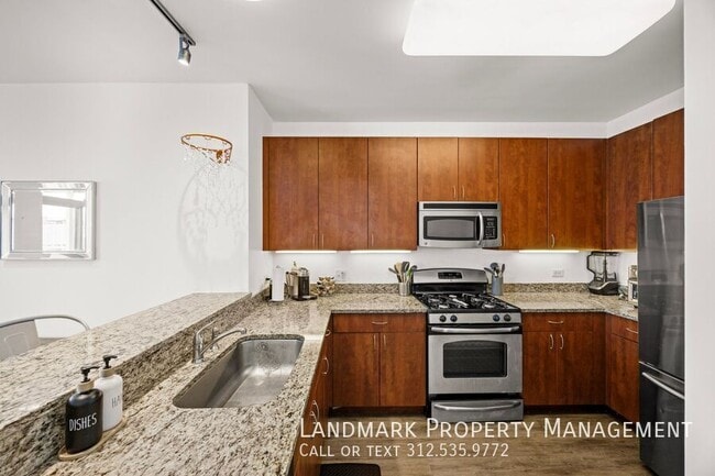 757 N Orleans St Unit 1910