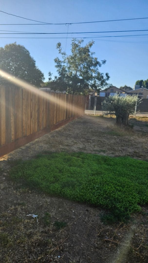 Photo - Two Bed One Bath Home with Shed and large ...