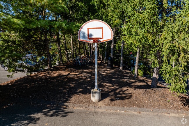 Club Apex - Basketball Court