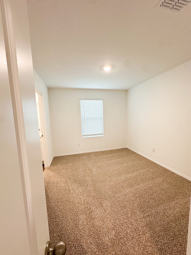 Photo - 14710 Candelabra Cactus